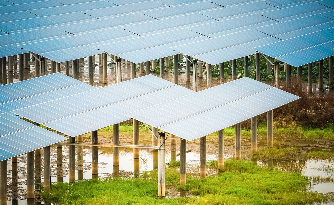 The Prime Color Of The World