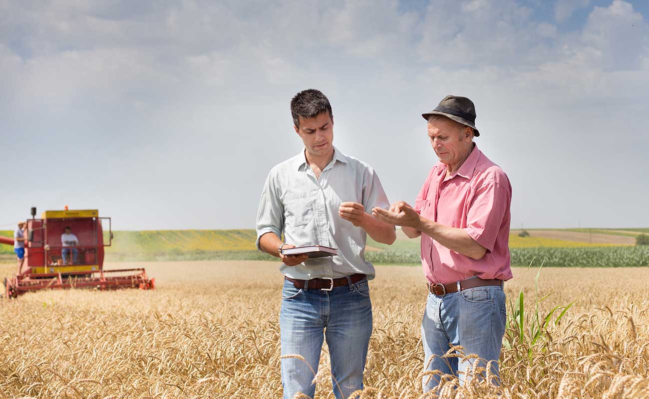 The Industrial Proletariat