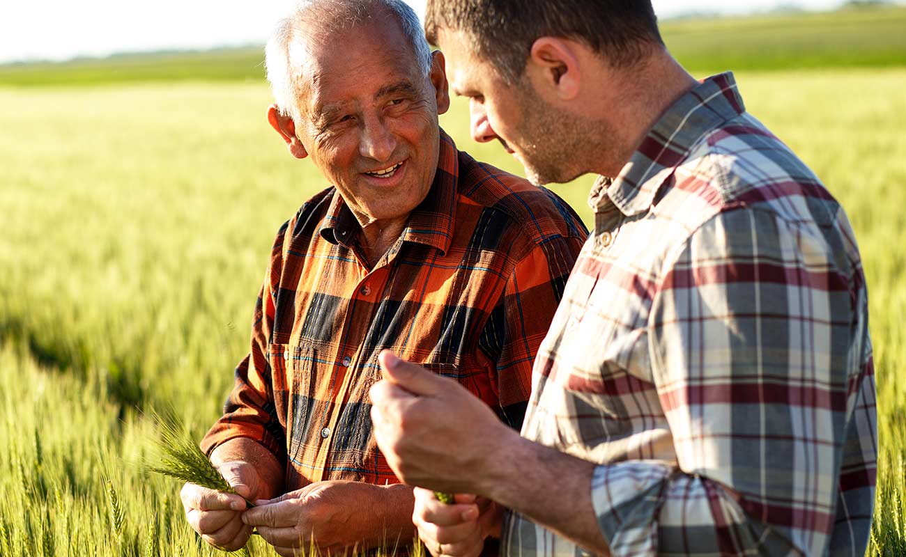 The Basis Of Evolution